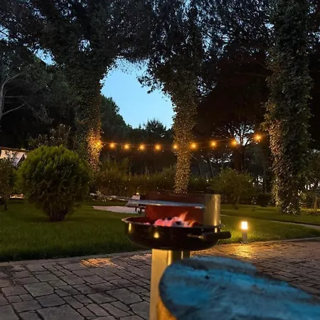 Zen Oasis *
