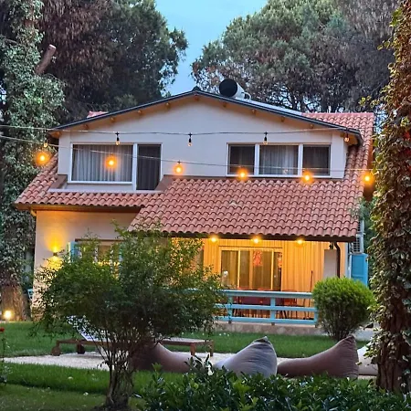 Zen Oasis * Голем