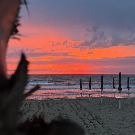 Вилла Zen Oasis Голем