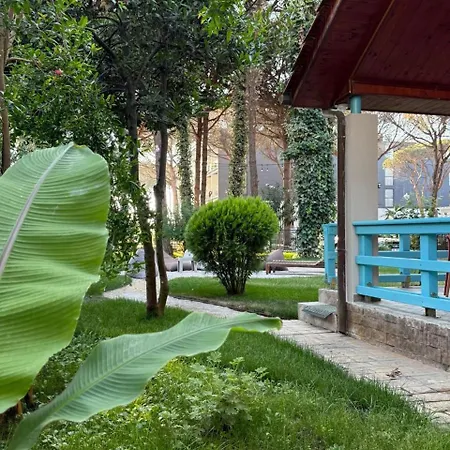 Zen Oasis Villa