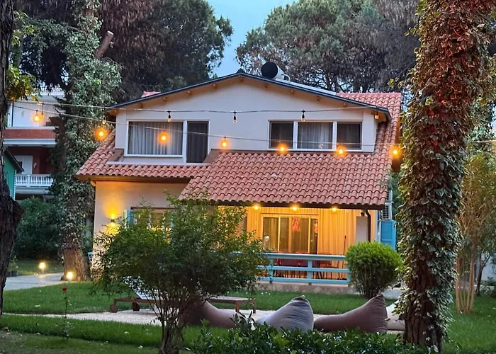 Zen Oasis * גולם